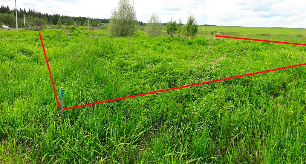 <span style="font-weight: bold;">Схема расположения</span>